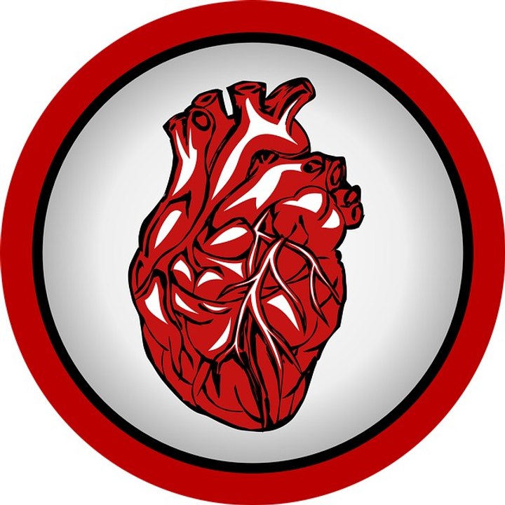 Día nacional del transplante