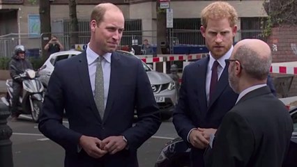 Understanding the Tensions Between Prince Harry and Prince William