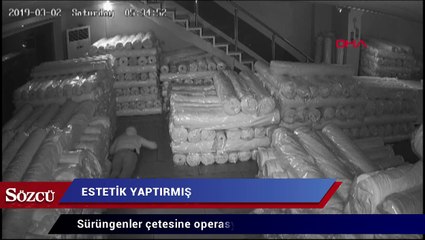 Download Video: Sürüngenler çetesine operasyon: Estetikli çete lideri de yakalandı