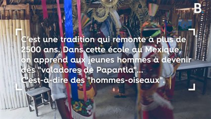 À 30 mètres du sol, au Mexique, ces "hommes-oiseaux" perpétuent une tradition de plus de 2 500 ans