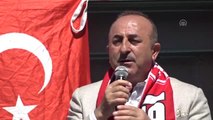 Çavuşoğlu: 