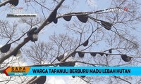 Miliki Nilai Jual Tinggi, Warga Tapanuli Selatan Berburu Madu Lebah Hutan