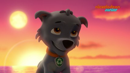 Paw Patrol : la Pat'Patrouille | La cité engloutie de Patlantis | NICKELODEON JUNIOR