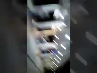 Proyecto XXX : Fiesta de primavera, tiros y un muerto