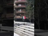 Terremoto en México - Las calles de CDMX