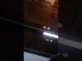 Violencia y canibalismo: cómo es el efecto que produce la "droga zombie"