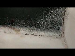 Filtraciones en el techo de la Escuela Juana Azurduy