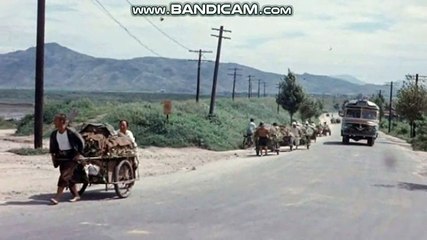 #사설토토솔루션 #사설솔루션판매 카톡:soft2580 스카이프:soft2580