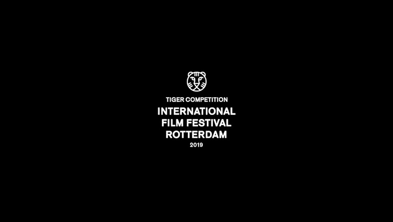 Present.Perfect. - Trailer | IFFR 2019