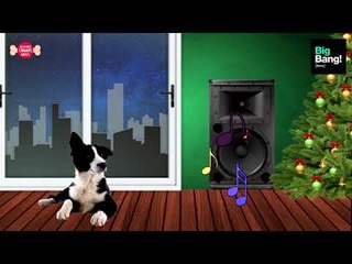 #SolucionesCaninas: tips para tranquilizar a tu mascota en las fiestas