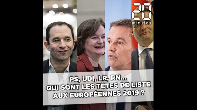 PS, LR, UDI, RN...Qui sont les têtes de liste aux européennes 2019 ?