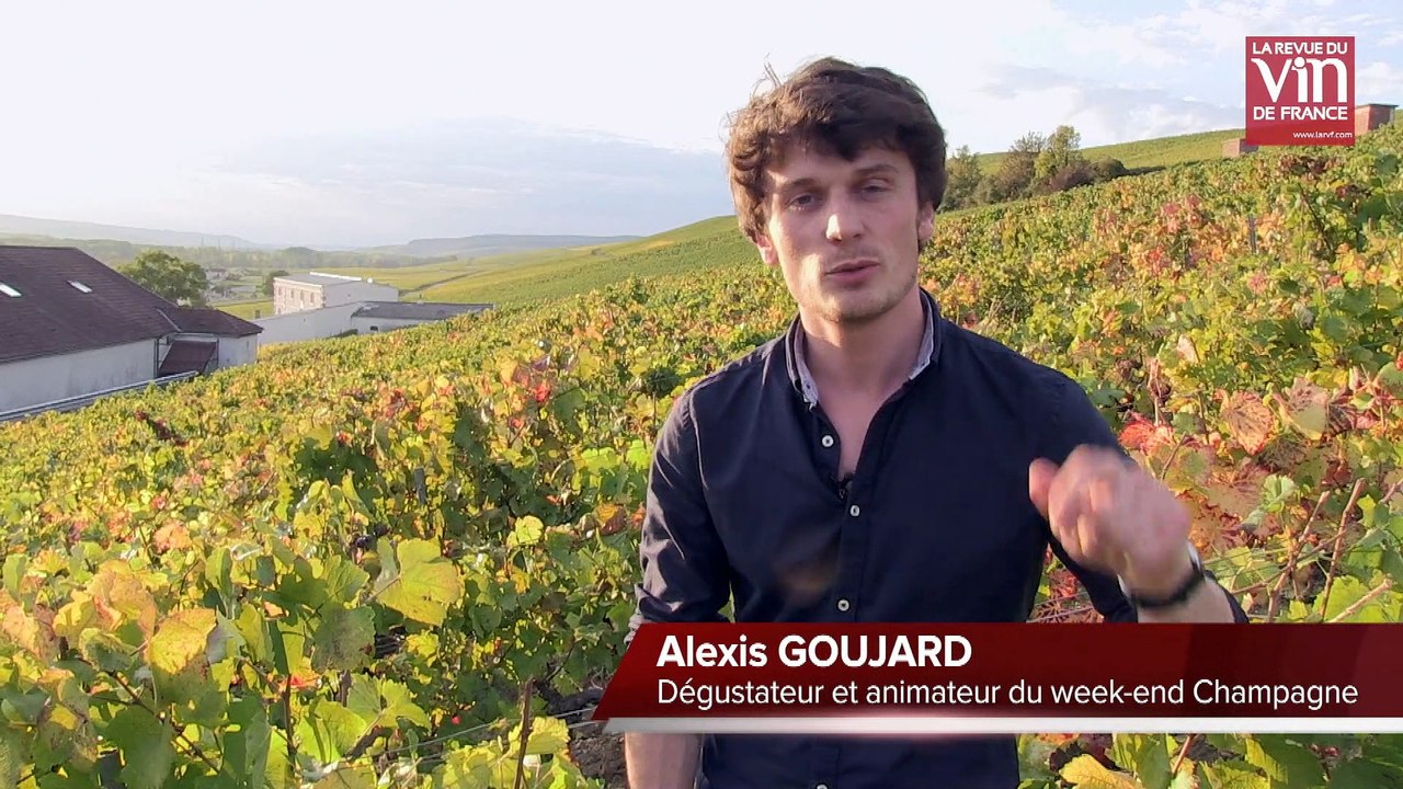 Week-ends prestige La RVF : les lecteurs à la rencontre des vignerons