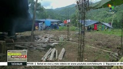 Скачать видео: Colombia: campesinos e indígenas activan una Gran Minga Nacional