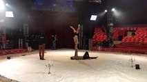 Répétitions au festival du cirque de Bayeux