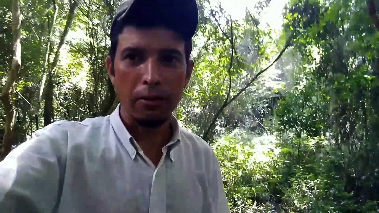 plantando semente e mudas de arvores pra ter comida para o passarinho