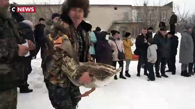 Russie : des combats d'oies en Russie