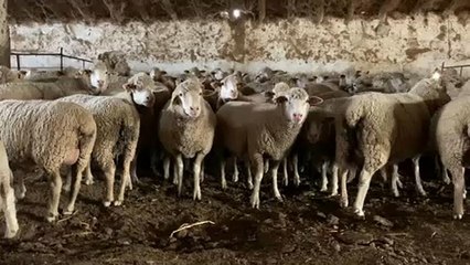 #EUroadtrip: 7η μέρα - Oι αγρότες της Ισπανίας