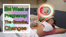 Pregnancy Week 3, List Of Symptoms, Check-Up For Growths, and Pregnancy Care Tips.