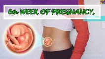 6TH WEEK OF PREGNANCY, SYMPTOMS, GROWTHS AND PREGNANCY CARE TIPS.