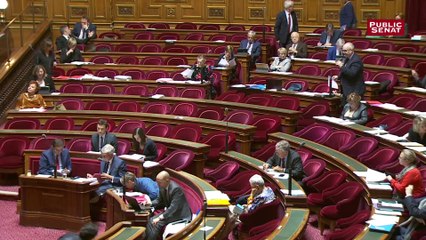 Trottinettes électriques : les débats au Sénat