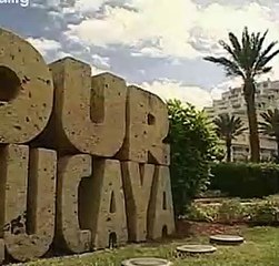 Forensic Files - 10x29 - Moss, Not Grass