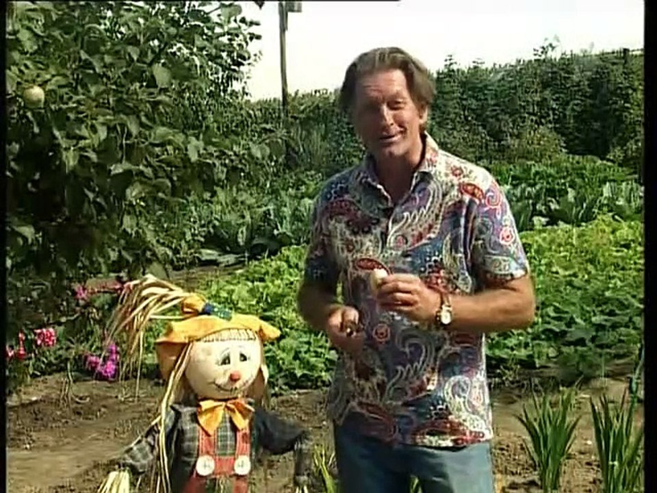 037 2007 Фазенда. Курятник