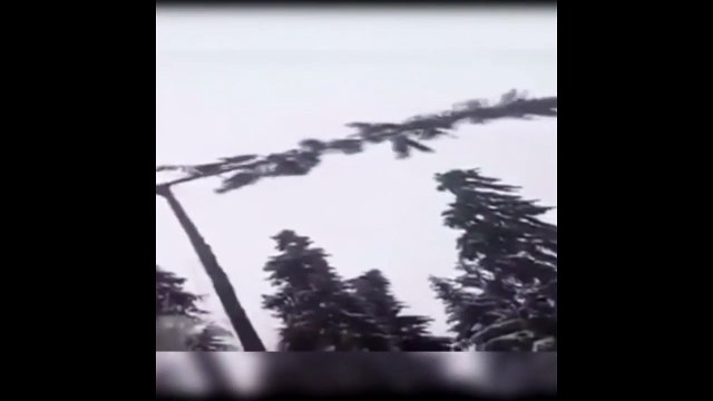 わ블랙잭게임 〔〔ＴＴＳ３３２．ＣΦ Μ 〕〕