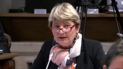 Christine RENAUDIN-JACQUES. Echanges avec le Préfet de région, préfet de la Côte-d'Or. 25 mars 2019