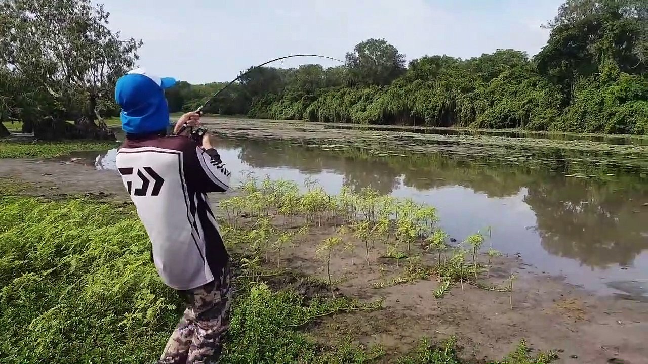 Pêcheur vs Crocodile