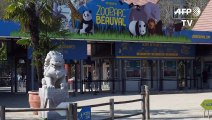 Au zoo de Beauval, des télécabines pour survoler les animaux