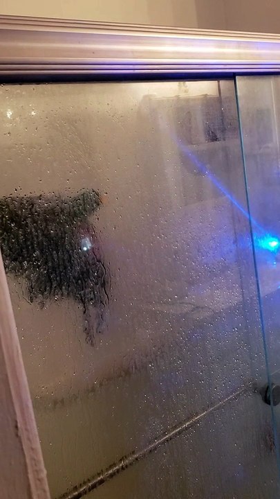 Parrot Prefers a Shower