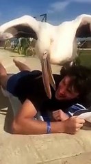 맥스카지노추천◑〔〔ＴＴＳ３３２．ＣΦ Μ 〕〕♡인터넷바카라사이트주소