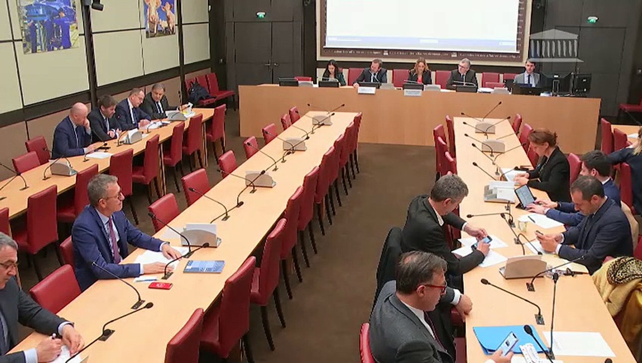 Commission des affaires économiques : Création d’une taxe sur les services numériques et modification de la trajectoire de baisse de l’impôt sur les sociétés - Mardi 26 mars 2019