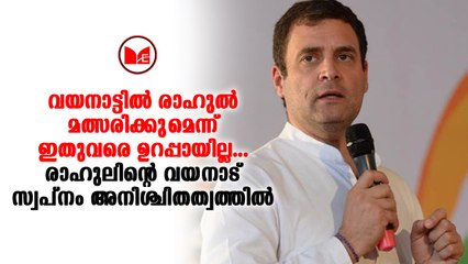 രാഹുൽഗാന്ധിയുടെ വയനാട്ടിലെ സ്ഥാനാർത്ഥിത്വം അനിശ്ചിതത്വത്തിൽ