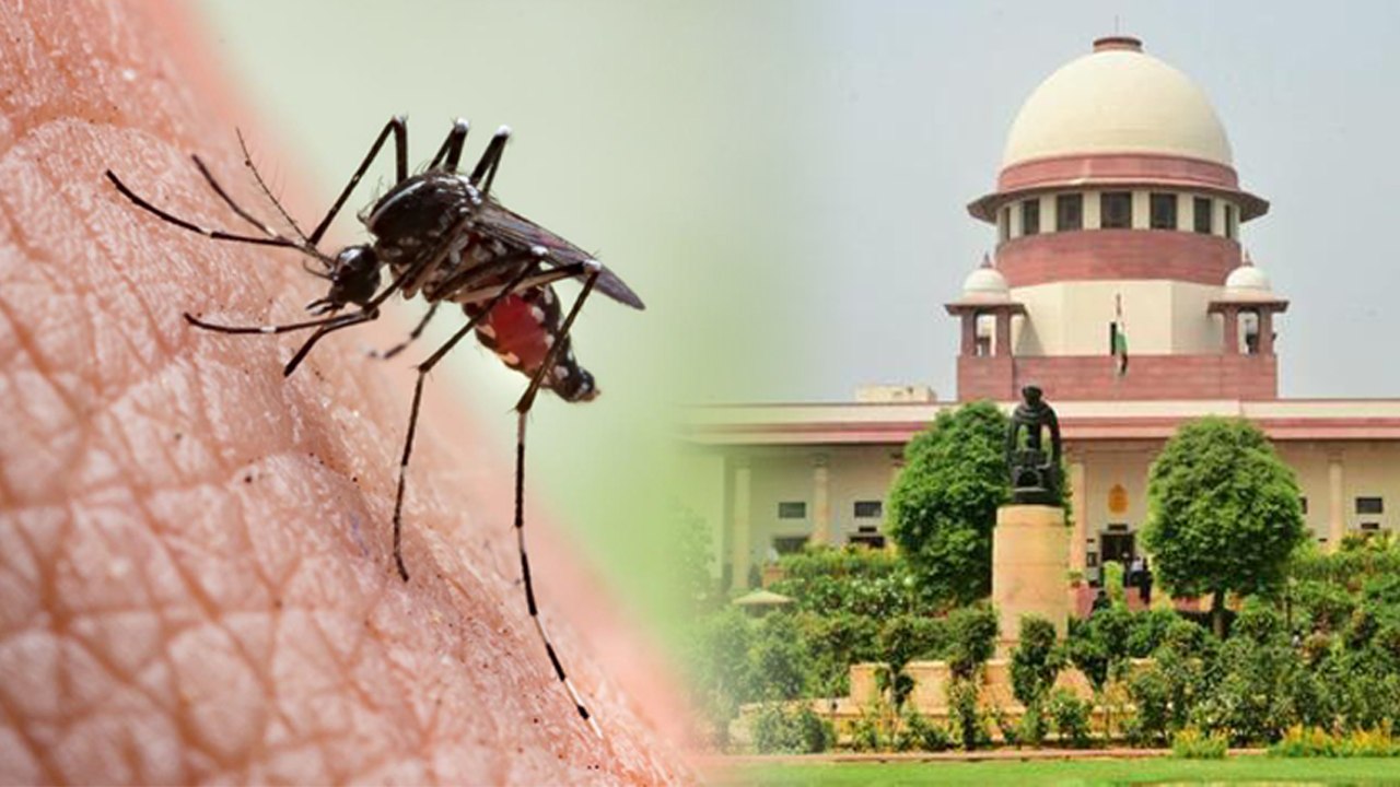 Supreme Court ने दिया जवाब, Mosquito के काटने से मौत पर मिलेगा बीमा क्लेम ? | वनइंडिया हिंदी