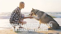 Veja aqui o porquê seu animal de estimação não deve ser vegano