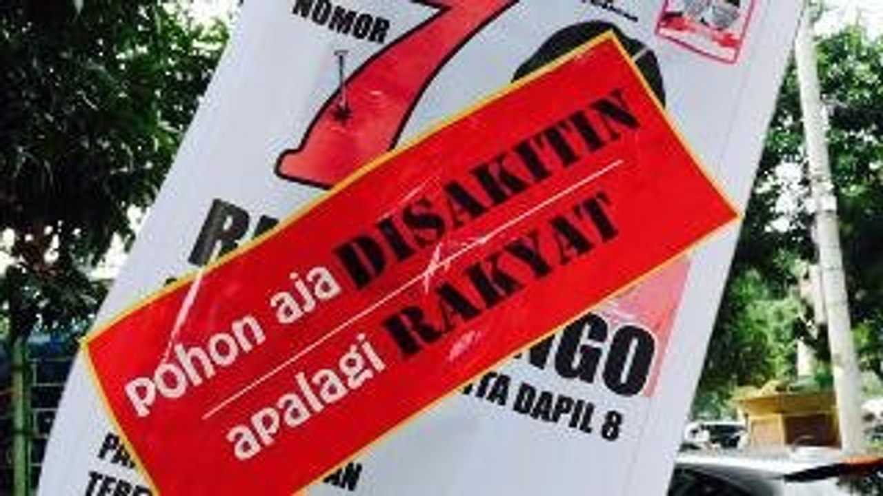 Caleg Penganiaya Pohon