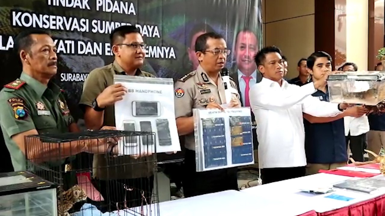 Polisi Berhasil Ringkus 8 Pedagang Hewan Satwa yang Dilindungi