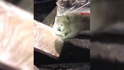 Erzurum Eroini 'Akıllı Çocuk Saati' ile Takip Eden Sanığın İddianamesi Tamamlandı-