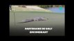 Aux États-Unis, cet alligator interrompt la partie de golf