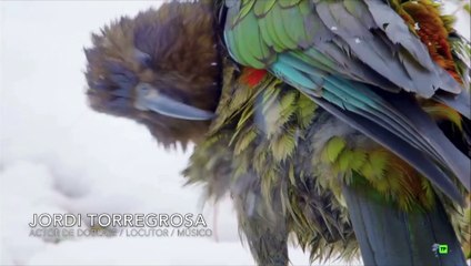 Doblaje Documental 2019 - Jordi Torregrosa