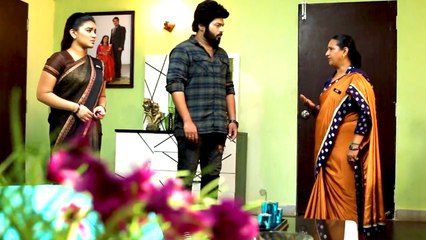 செம்பருத்தி சீரியல்: அகிலாவிடம் உண்மை சொல்ல வந்த பட்டம்மா