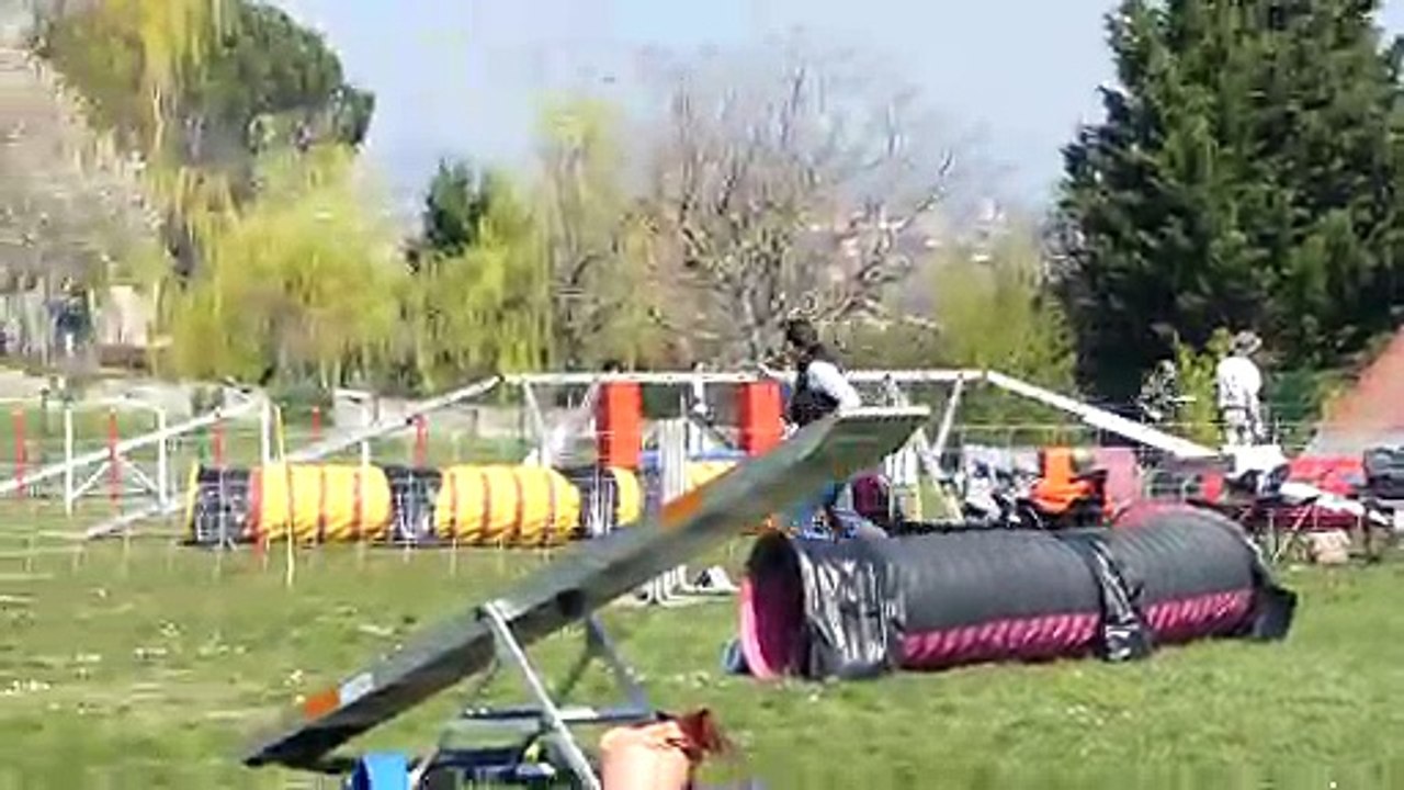 20190324P1090476_Lorette_Agility-Grade1-B_Iris_Sylviane.