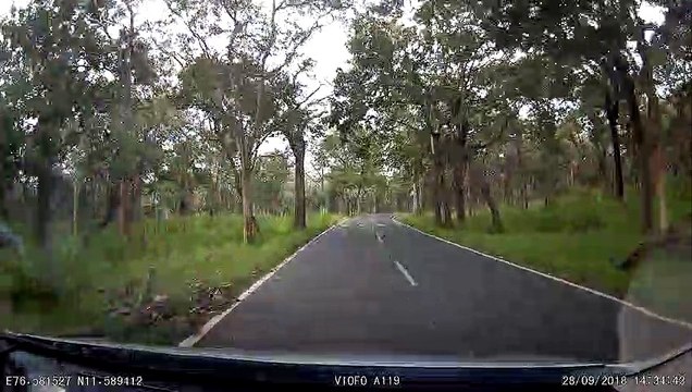 Bandipur National Park - Tiger Reserve