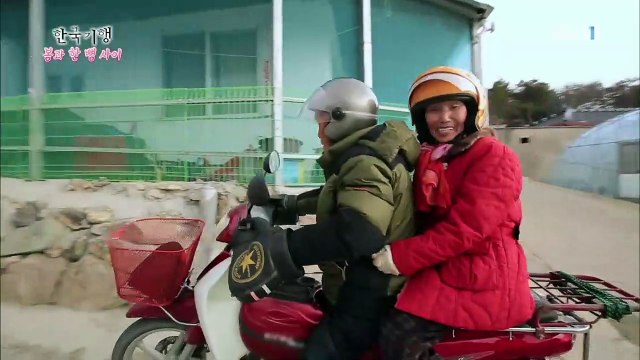 한국기행 - Korea travel_봄과 한 뼘 사이 2부 고양이는 봄이로다_#002