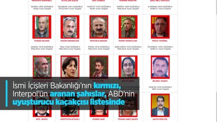 PKK'nın tepe kadrosuna ağır darbe