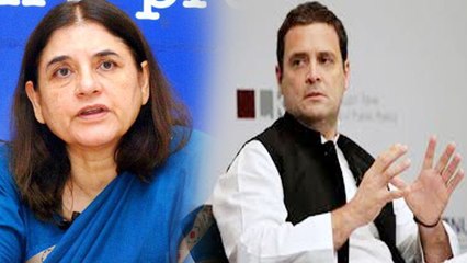 Rahul Gandhi को Maneka Gandhi ने क्यों कहा शेखचिल्ली ?| वनइंडिया हिंदी