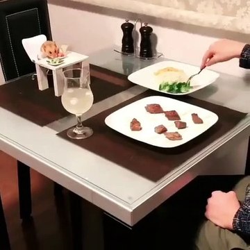 Ce petit écureuil à table est juste trop mimi !