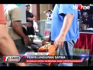 Polisi Gagalkan Penyelundupan Satwa Dilindungi