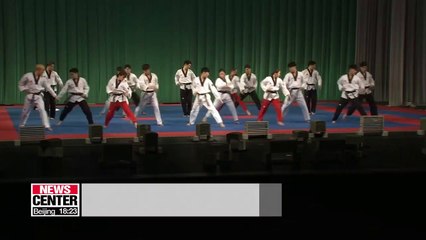 Two Koreas to showcase Taekwondo performance in Switzerland next month